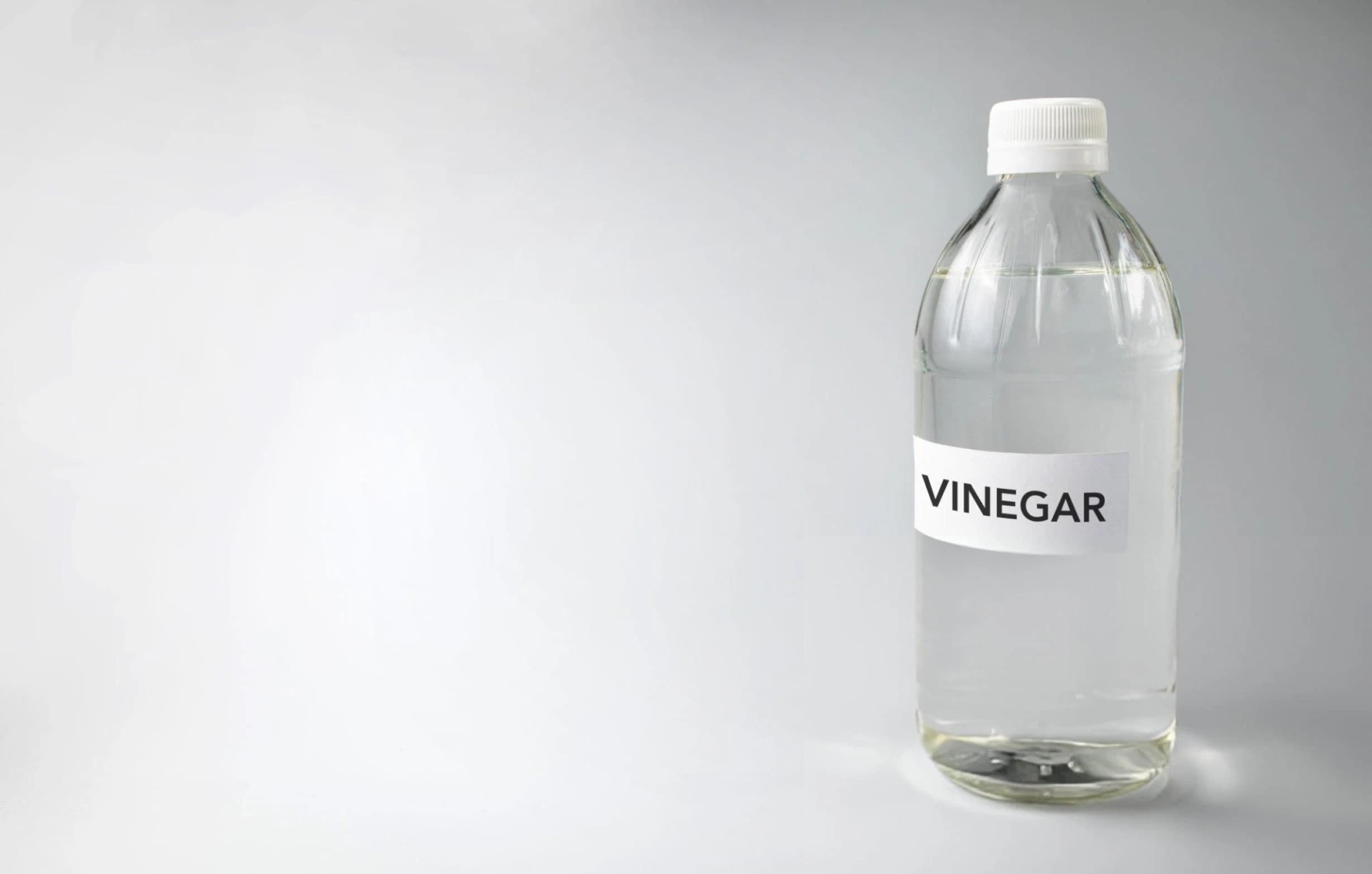 Vineger