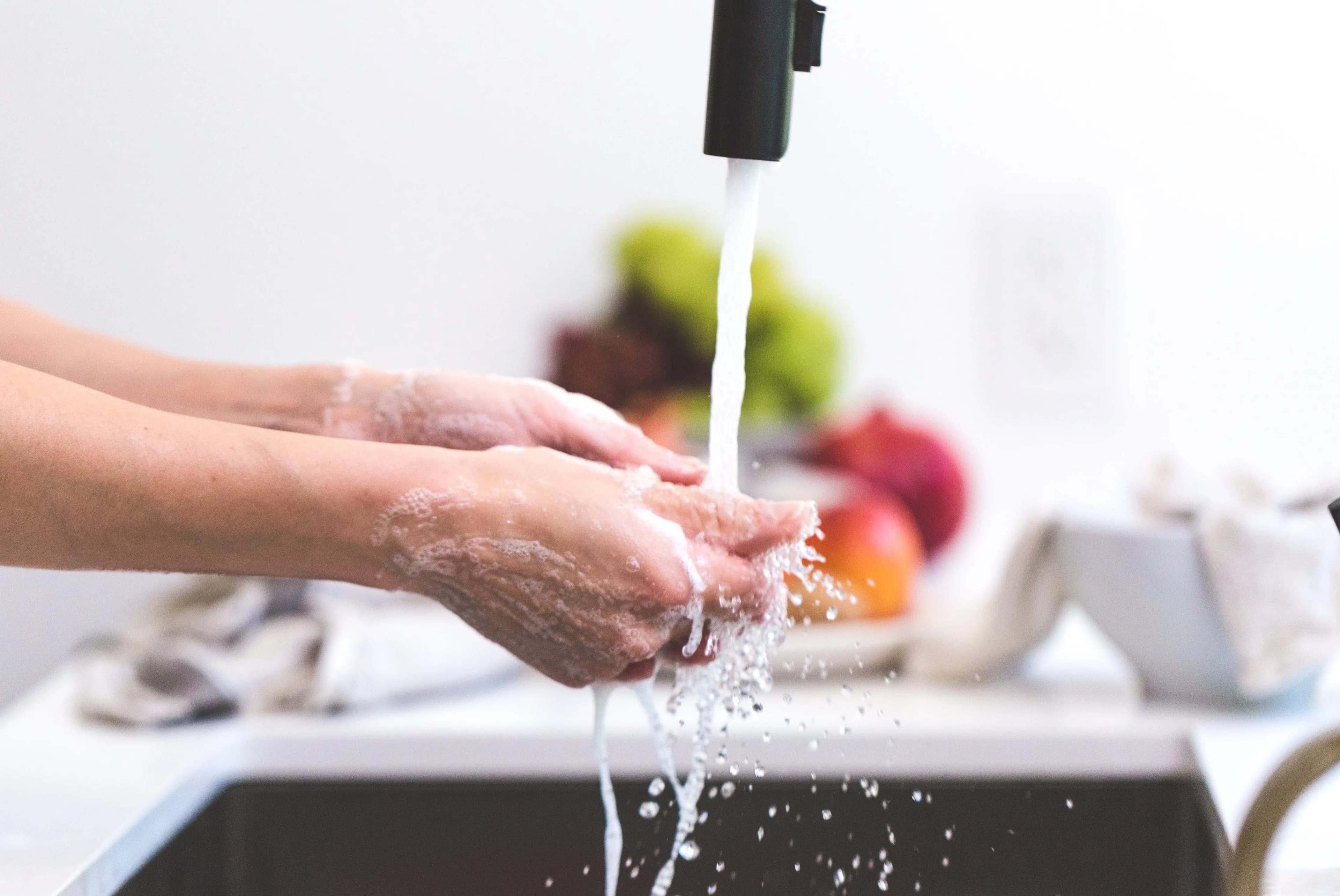 Kitchen Hygiene