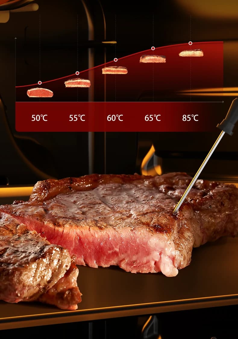 The VA05 food probe in a steak, with temperature steps marked