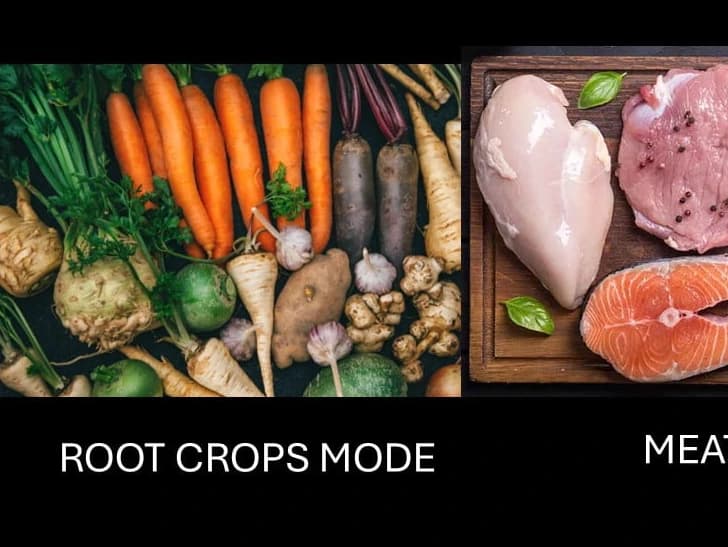 Root vegetables and raw meat, each under its air-fry mode label