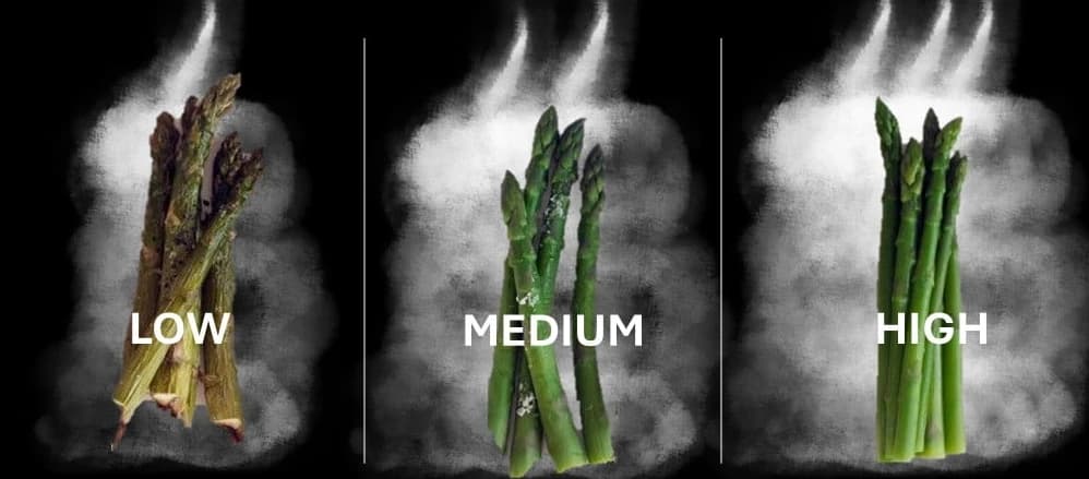 Asparagus steamed at low, medium and high humidity